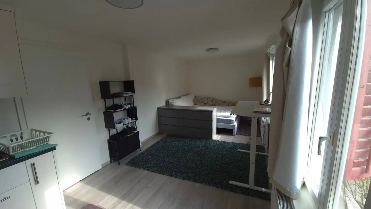 Furnished apartment for rent - Dammweg 4, 8134 Adliswil