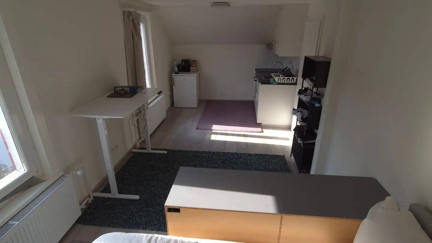 Furnished apartment for rent - Dammweg 4, 8134 Adliswil - Photo 3