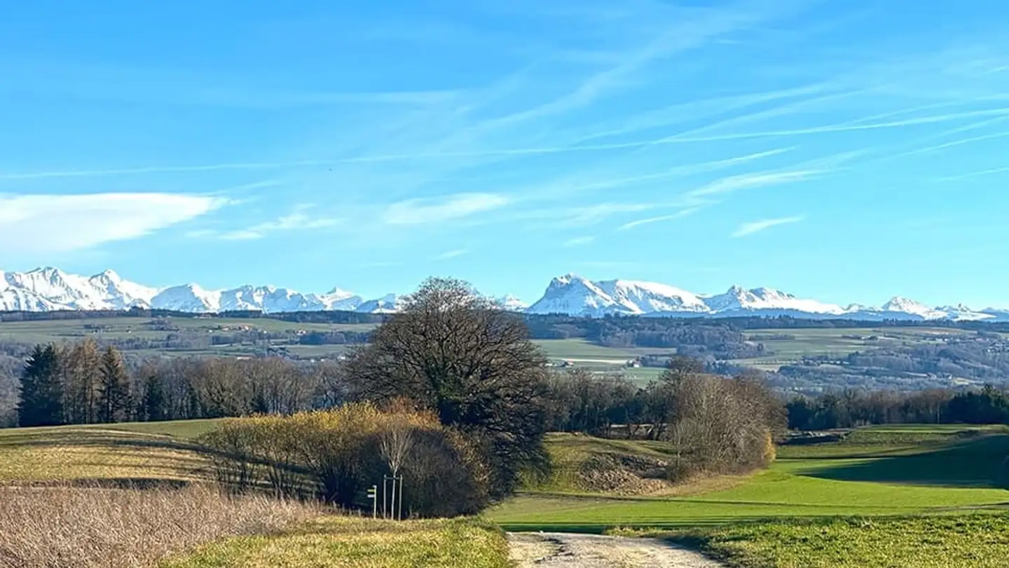 Edificio residenziale in vendita - 1482 Cugy FR - Foto 2