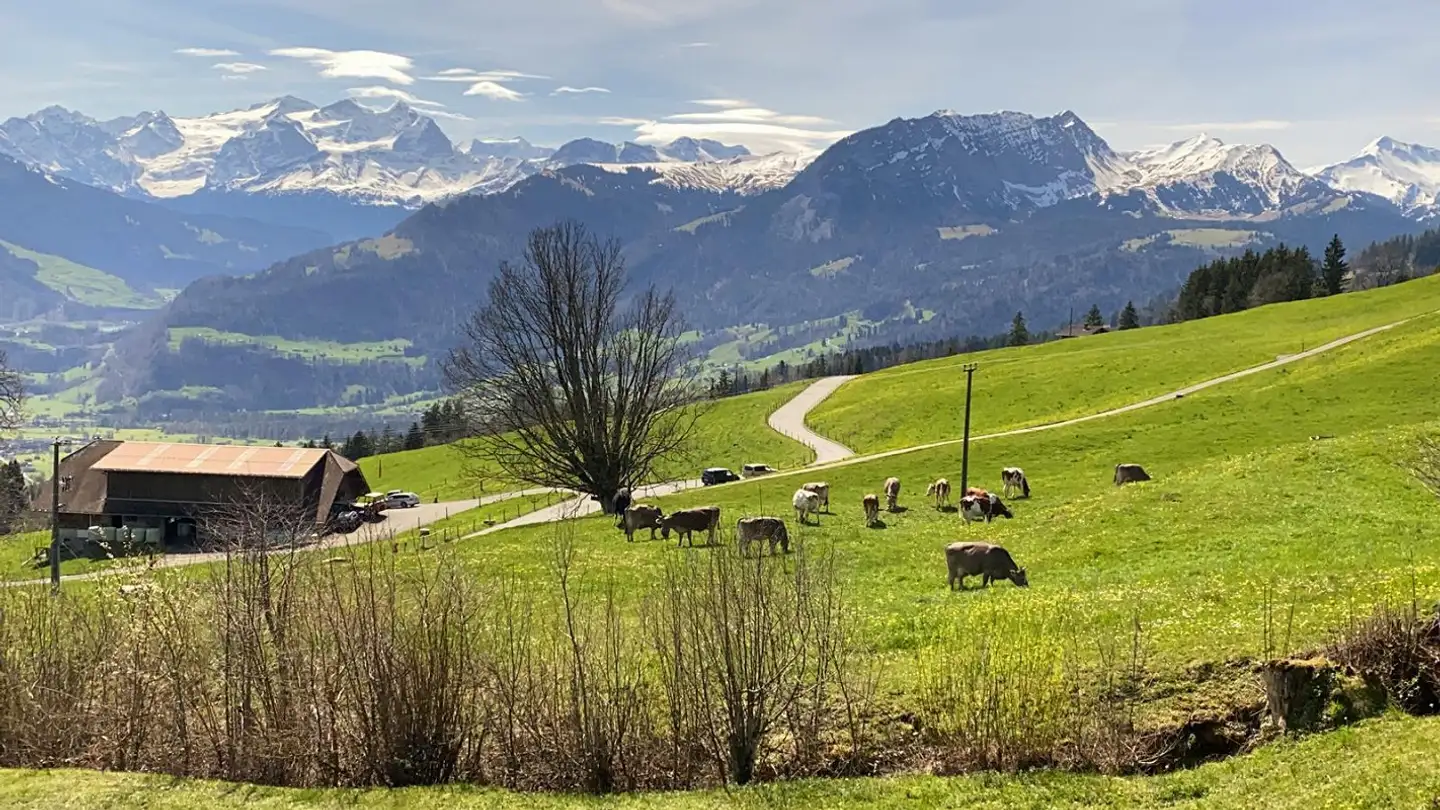 Appartamento in affitto - Stockenmatt 12, 6063 Stalden (Sarnen) - Photo 3