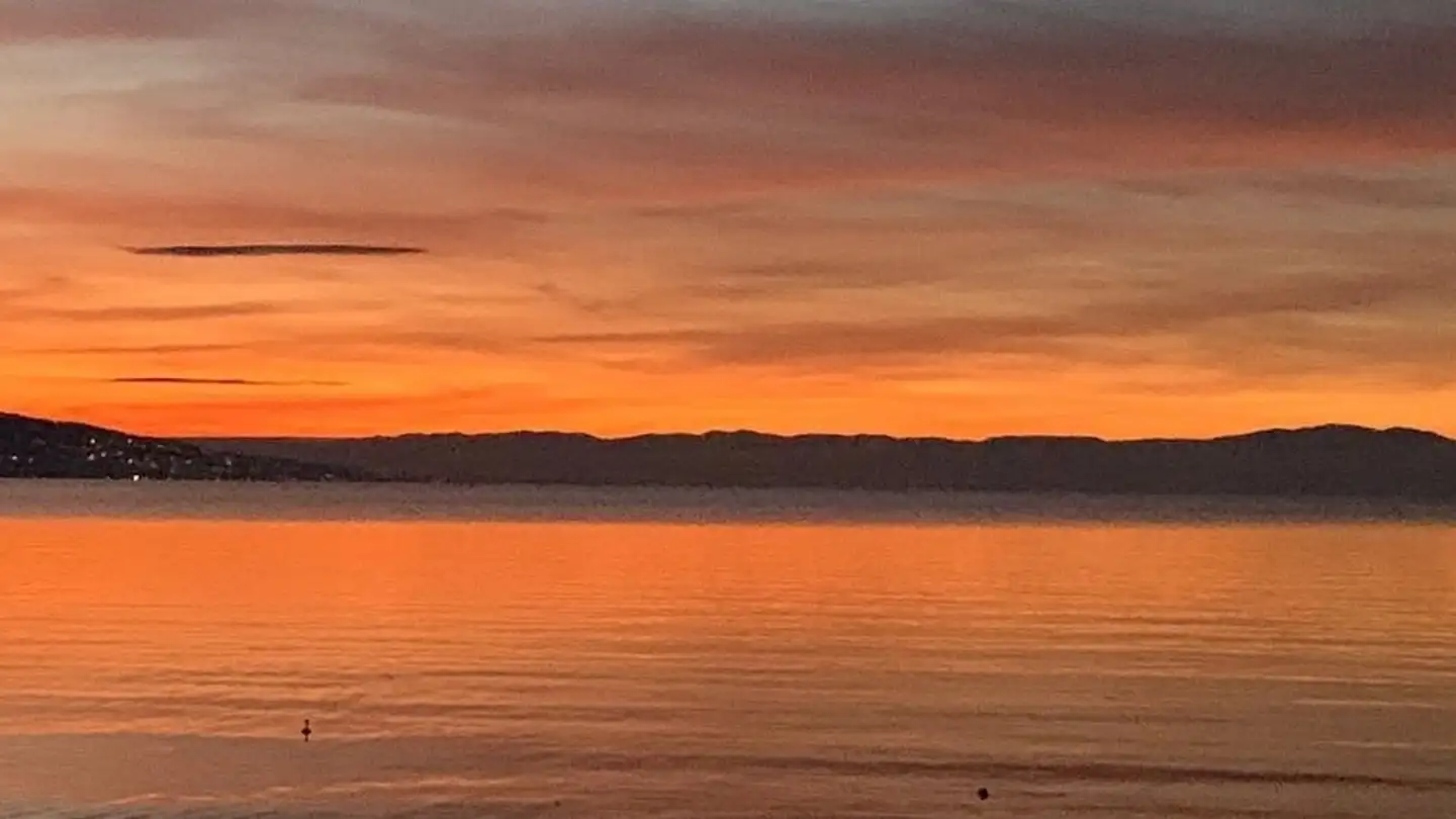 Apartment for rent - Chemin de la Condémine, 1468 Cheyres - Photo 2