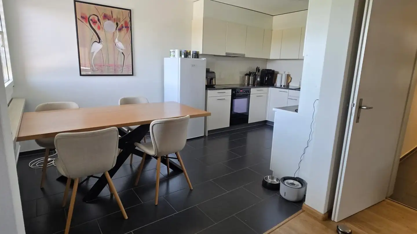 Appartamento in affitto - Schorenweg 40, 4058 Basel - Foto 2