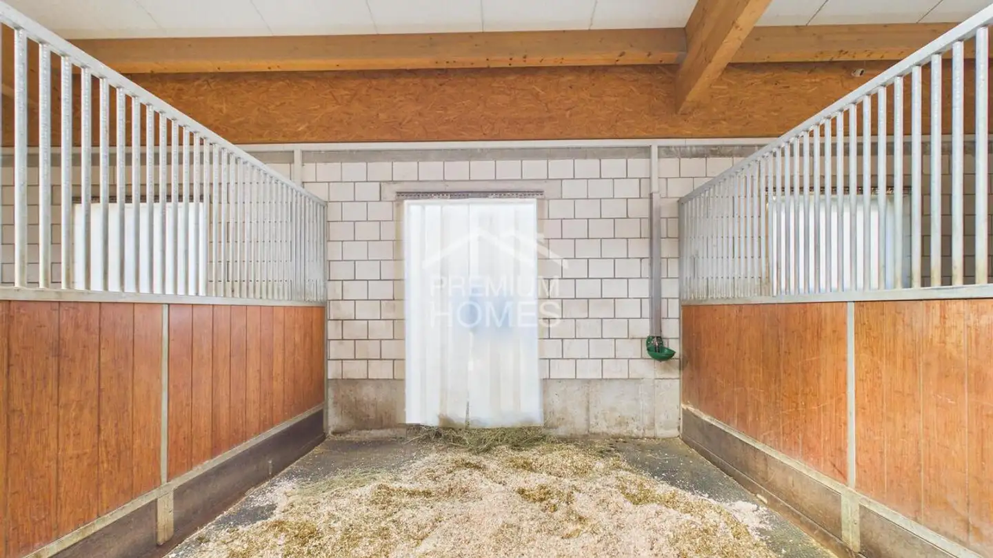 Gewerbe kaufen - 3800 Interlaken - Foto 3