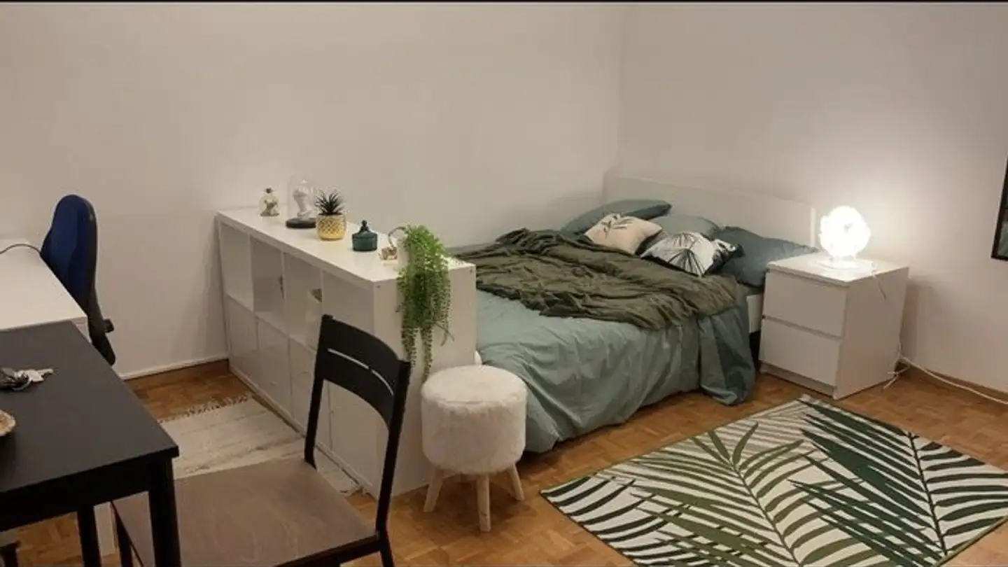Appartamento in affitto - Chemin des Délices, 1006 Lausanne