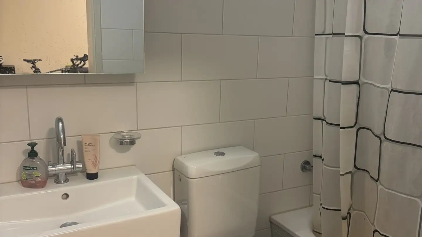 Apartment for rent - Biberlinstrasse 44, 8032 Zürich - Photo 3