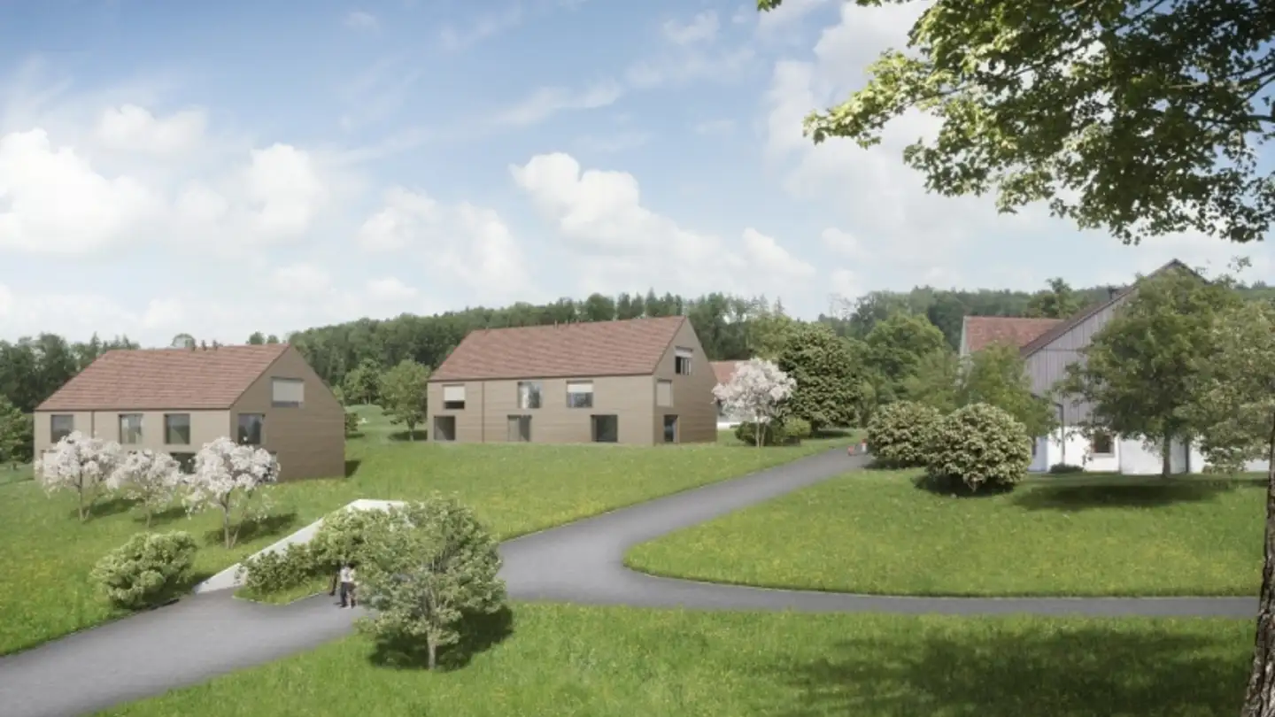 Attico in affitto - 8406 Winterthur