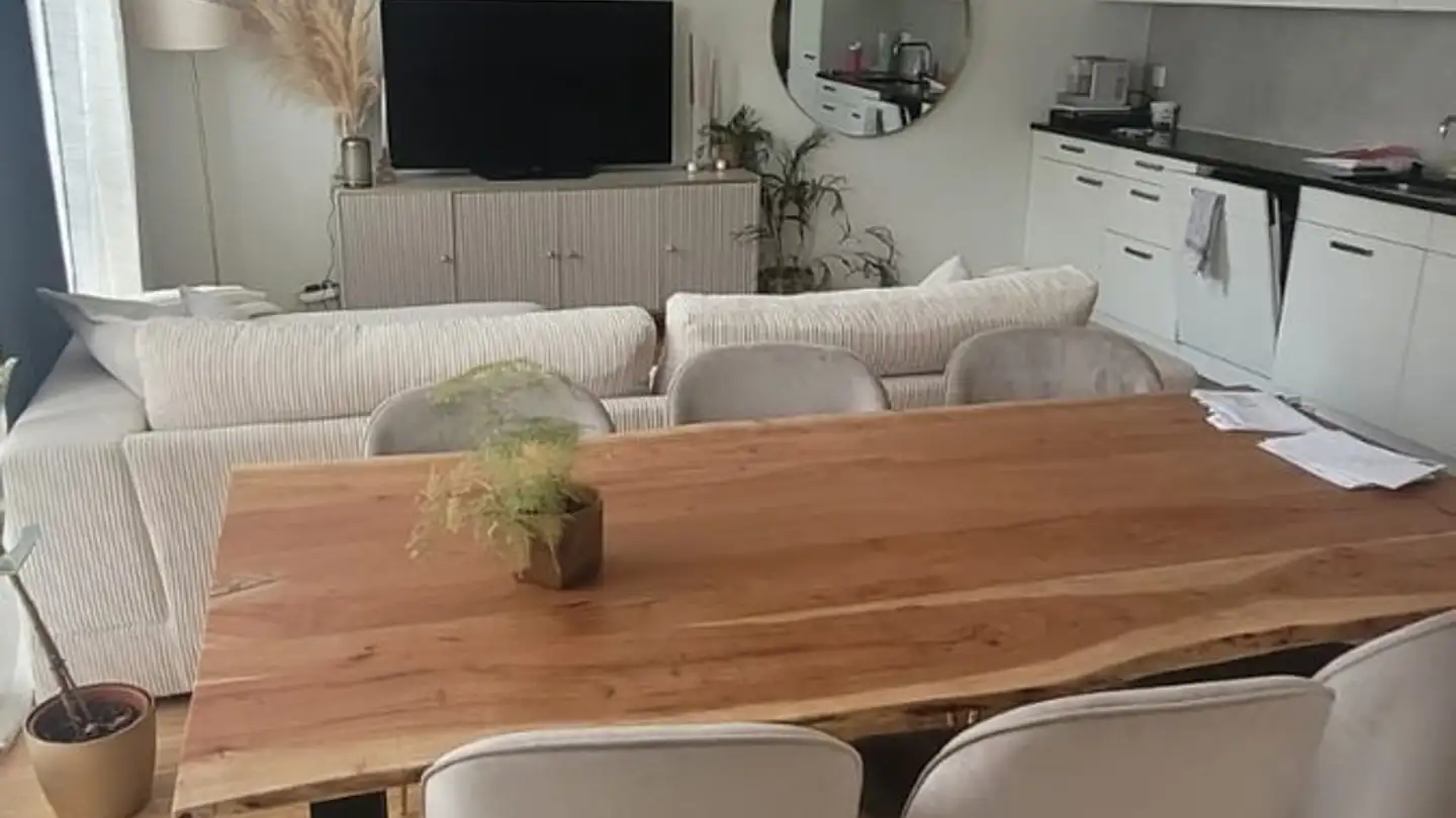 Appartamento in affitto - H.-R.-Giger-Weg 4, 8052 Zürich