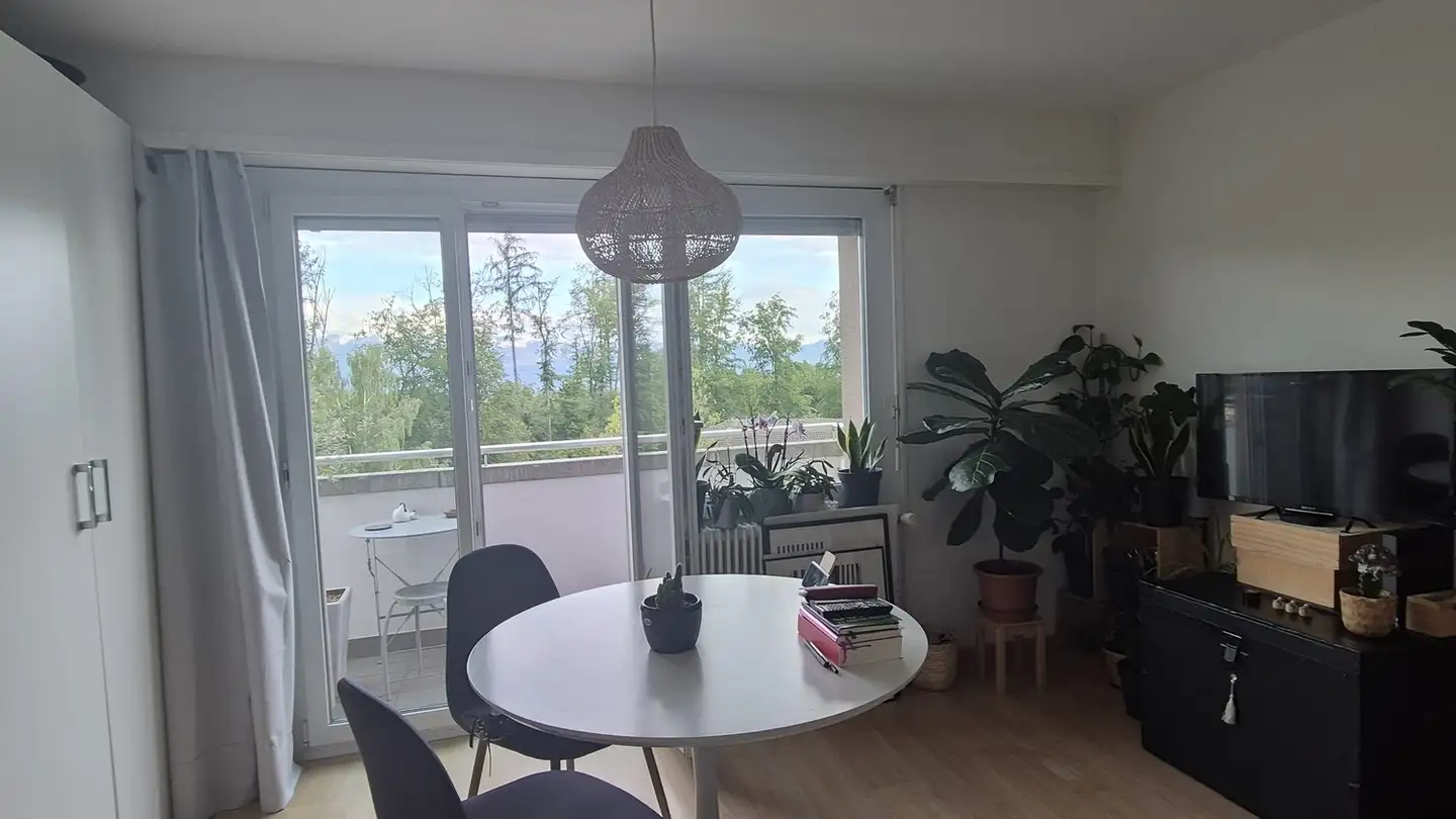 Apartment for rent - Avenue Des Boveresses 38, 1010 Lausanne - Photo 3