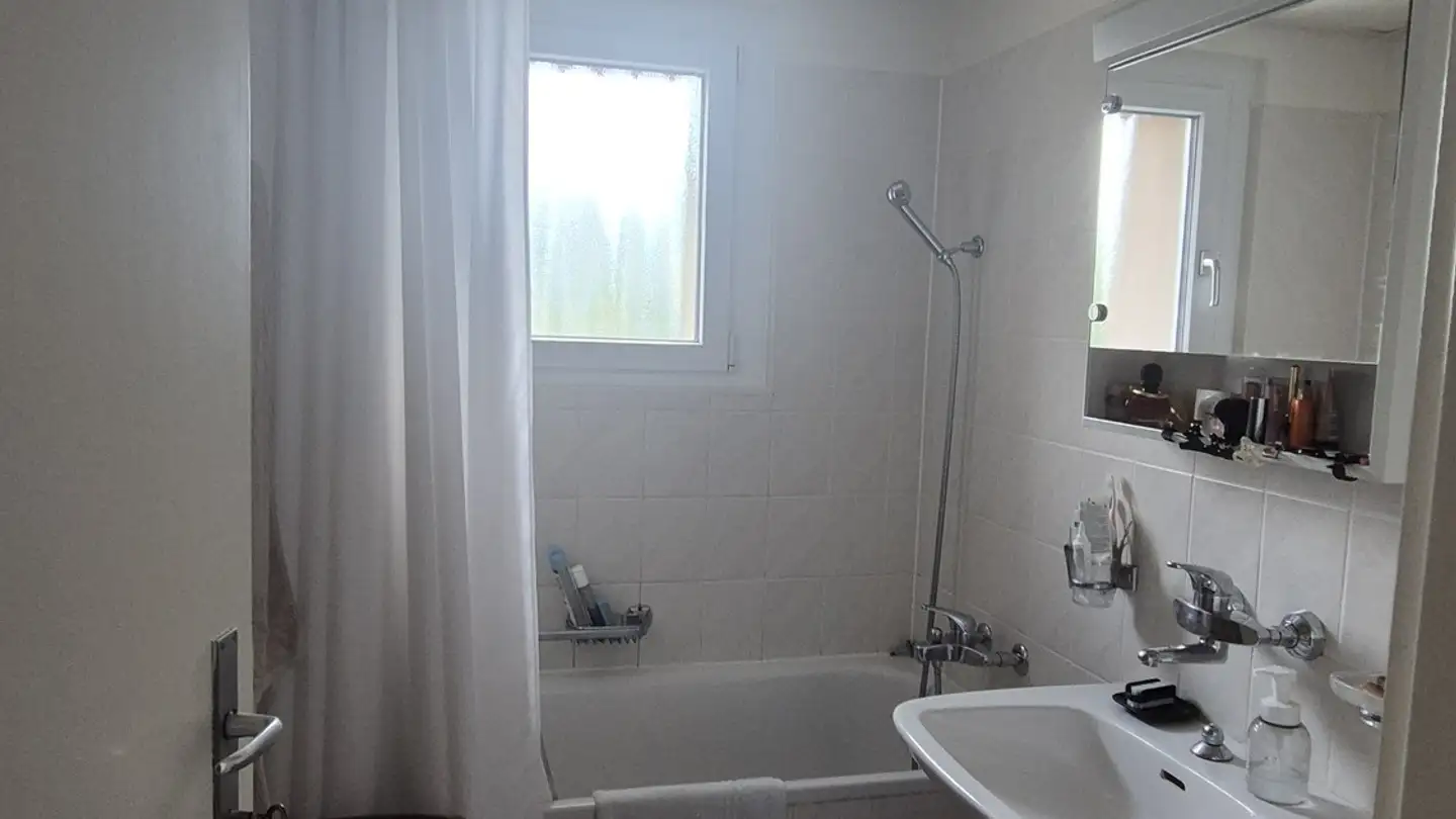 Apartment for rent - Avenue Des Boveresses 38, 1010 Lausanne