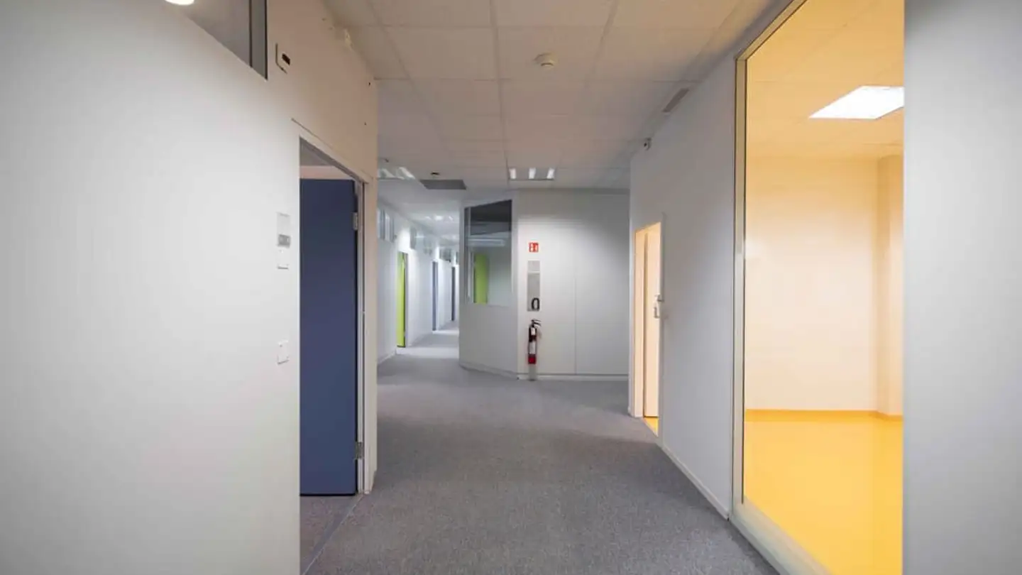 Gewerbe mieten - Chemin Des Aulx 12, 1228 Plan-les-Ouates