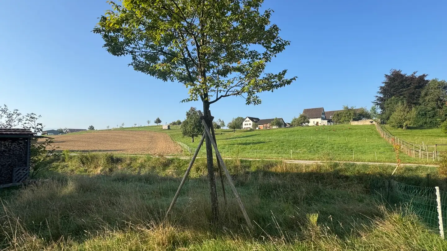 Appartamento in vendita - Am Bach 3, 8911 Rifferswil - Photo 4