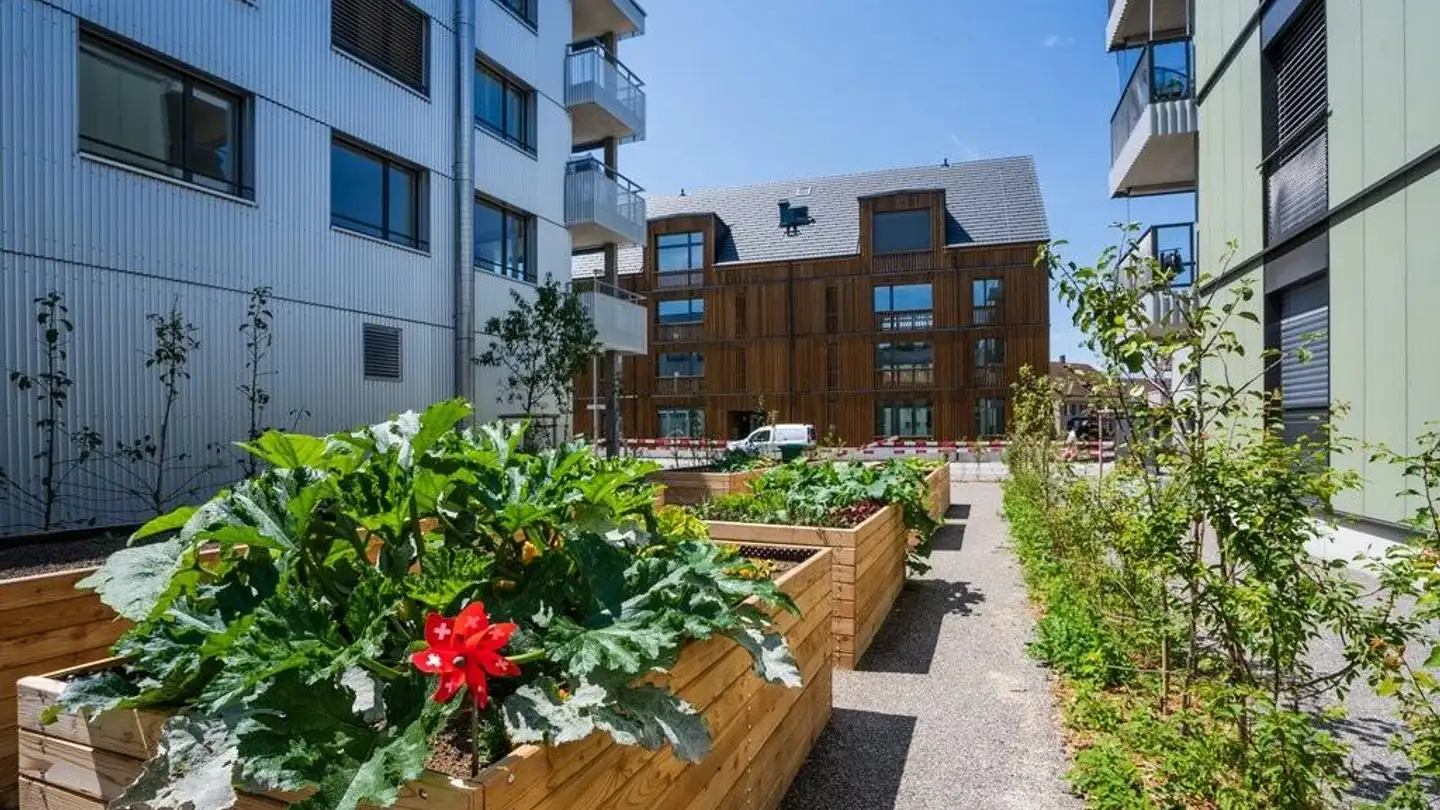 Appartement à louer - Worbstrasse 6, 3067 Boll