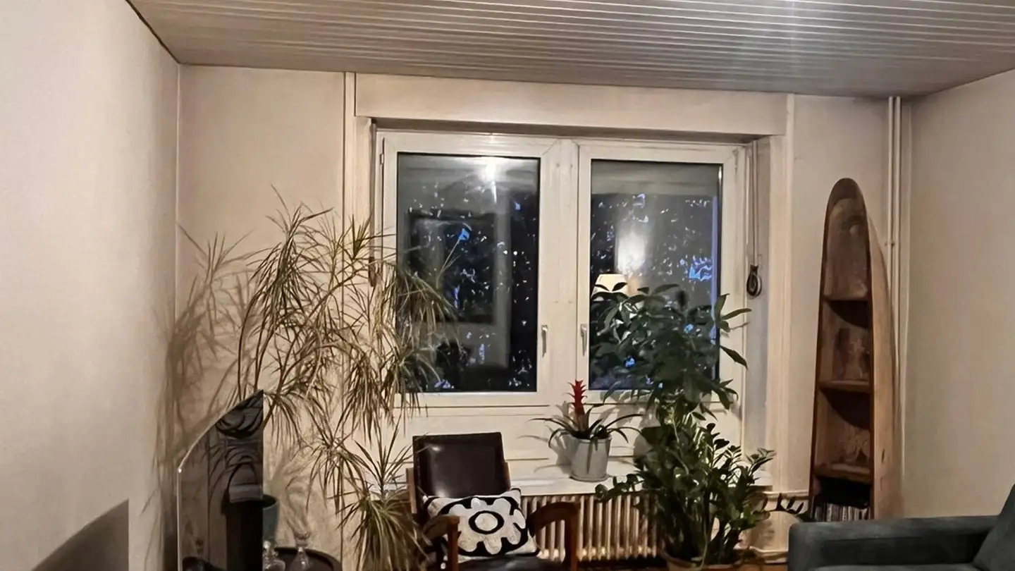 Appartamento in affitto - Malzstrasse, 8045 Zürich - Foto 2