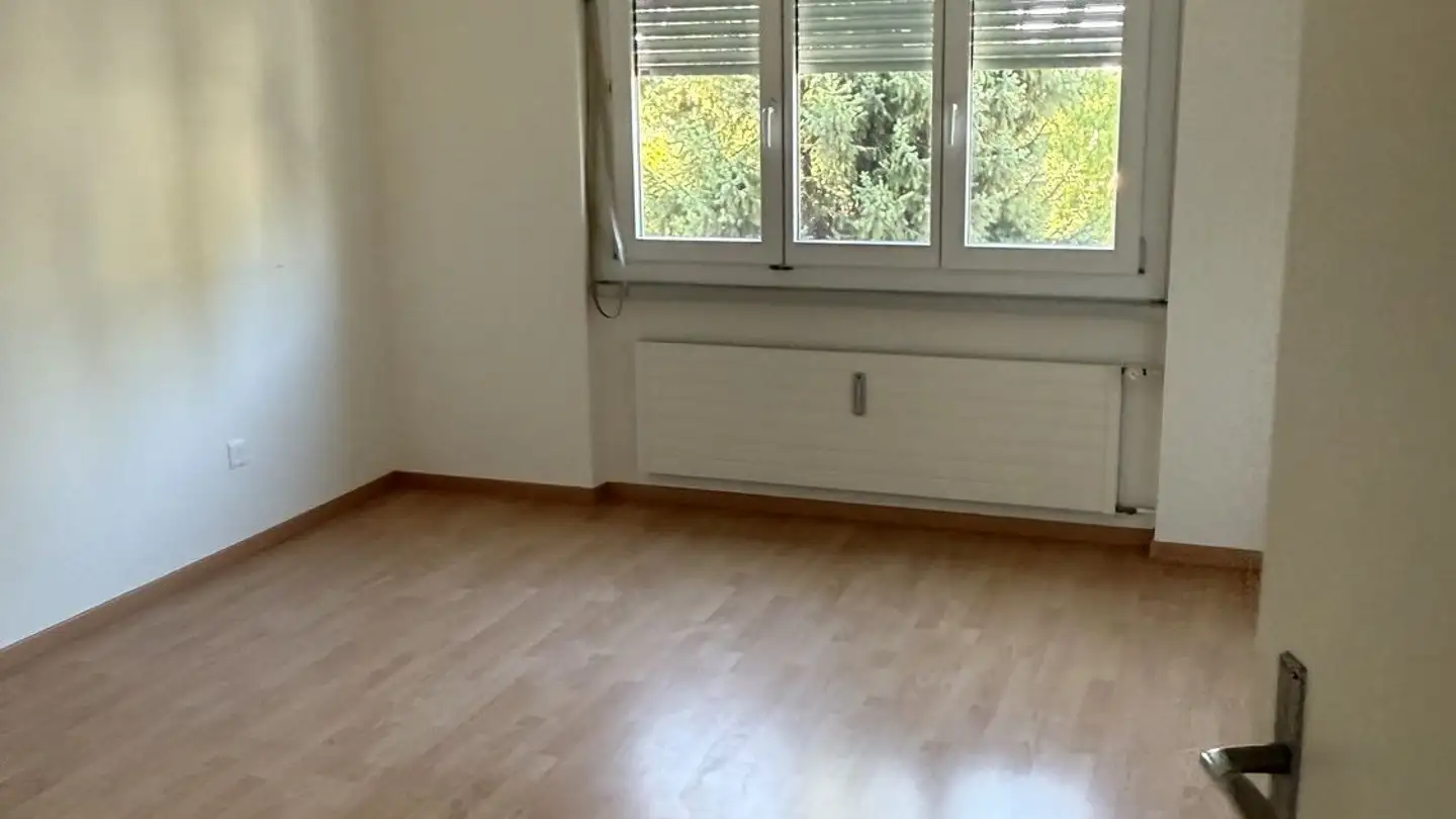 Single room for rent - Wolhausenstrasse 25, 8910 Affoltern am Albis