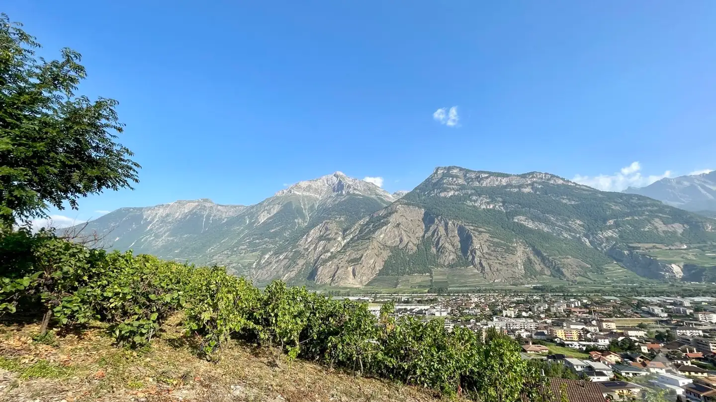 Appartement à vendre - 1907 Saxon - Photo 4