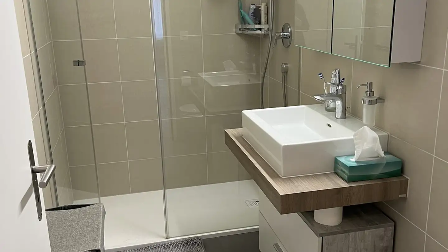 Apartment for rent - Enzianweg 4, 5314 Kleindöttingen - Photo 3