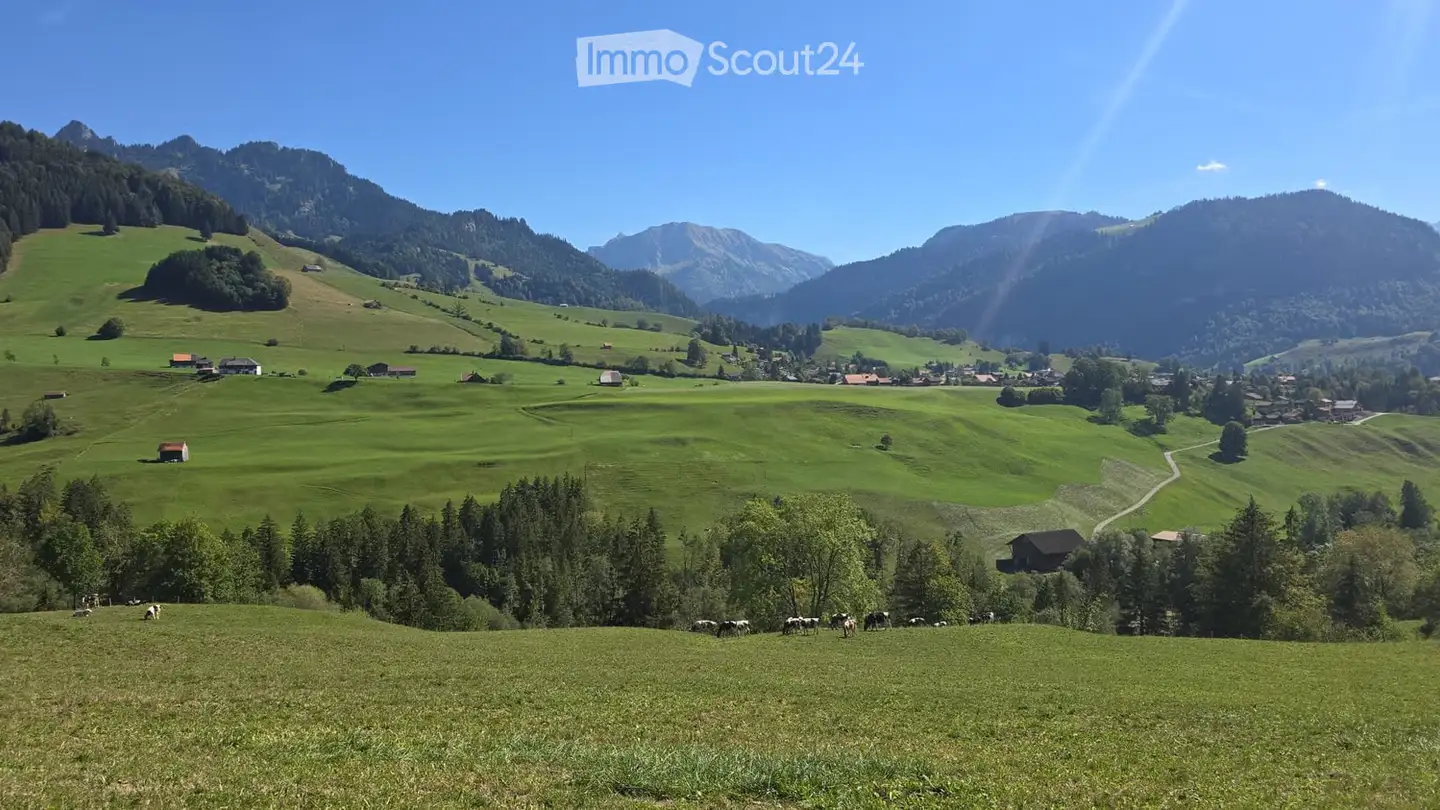 Appartement à louer - 1654 Cerniat FR