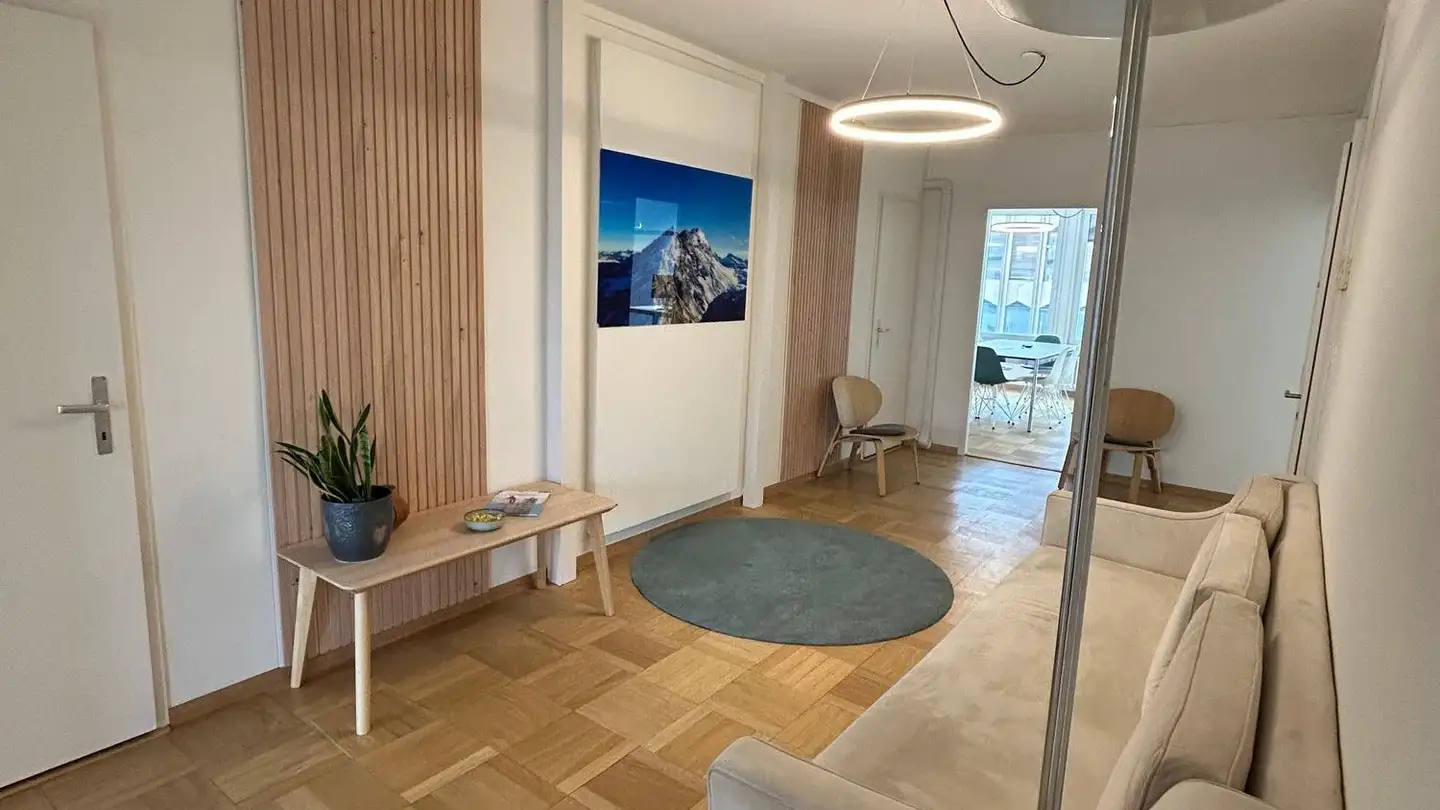 Office space for rent - Rue Du Conseil-Général 14, 1205 Genève