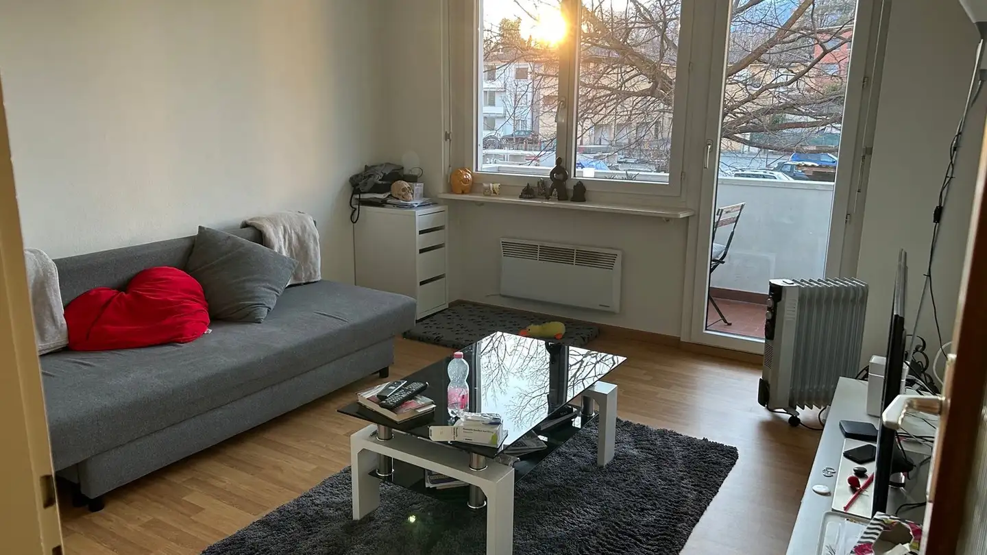 Apartment for rent - 6600 Muralto - Photo 3