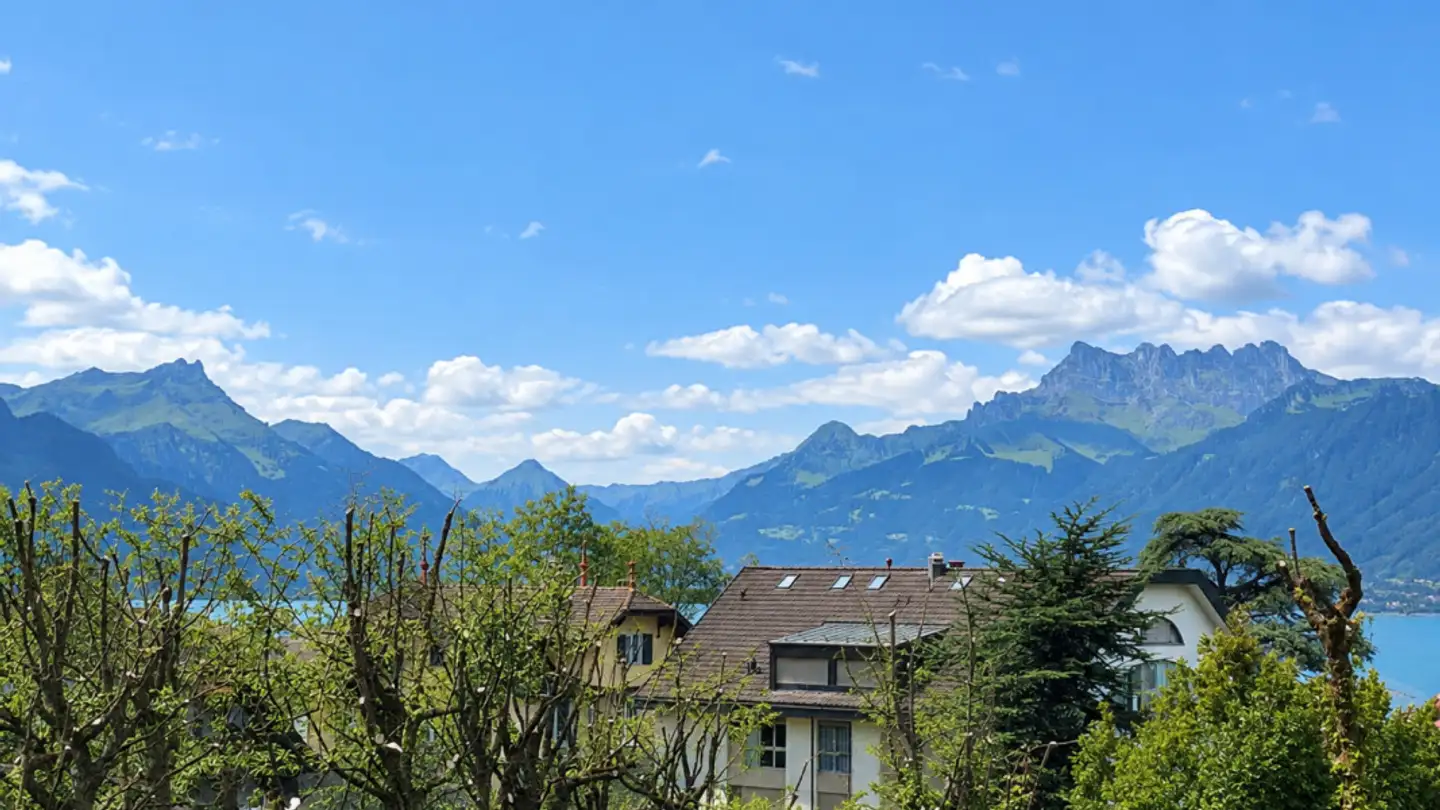 Wohnung kaufen - Chemin Du Point-Du-Jour, 1800 Vevey