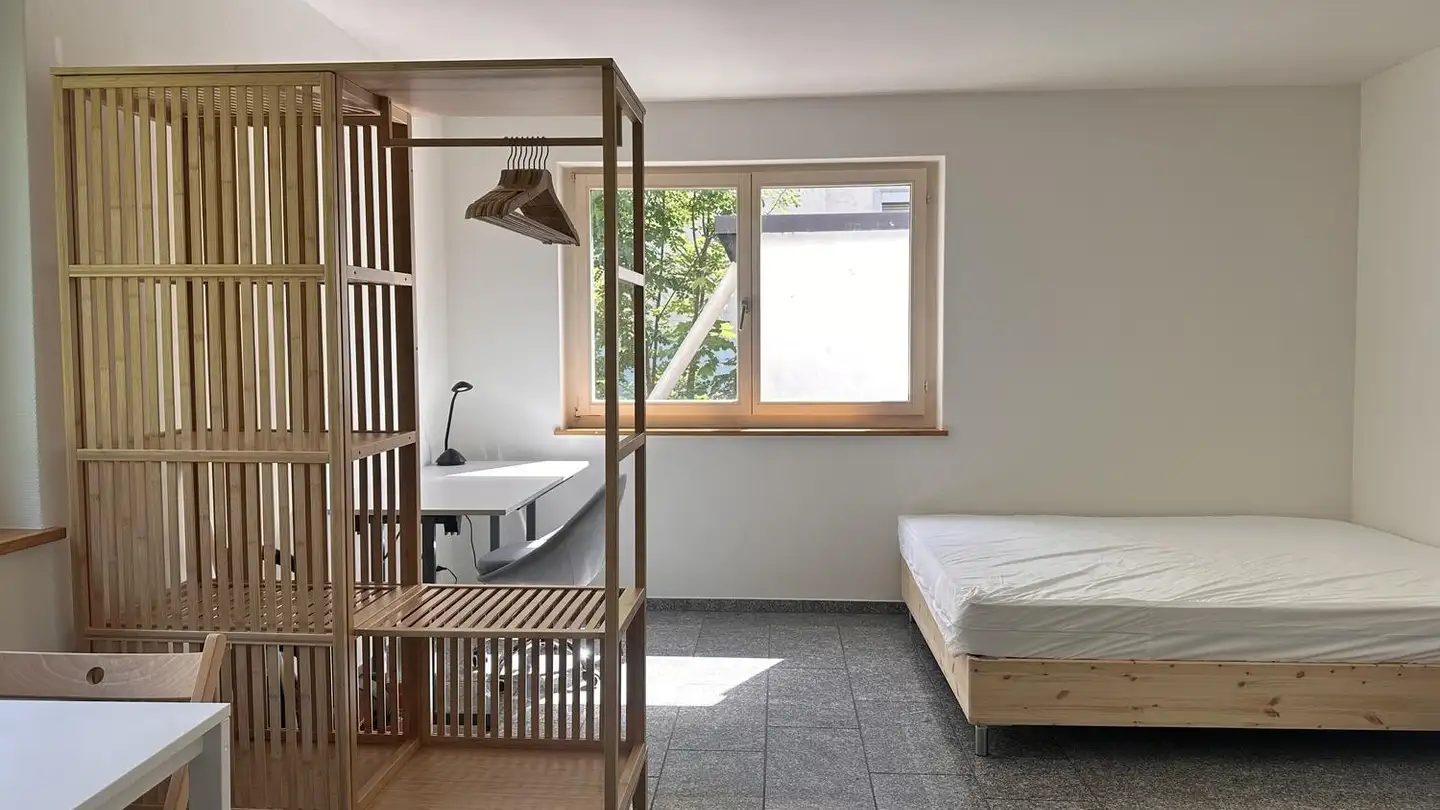 Studio à louer - Schärenmoosstrasse 43, 8052 Zürich