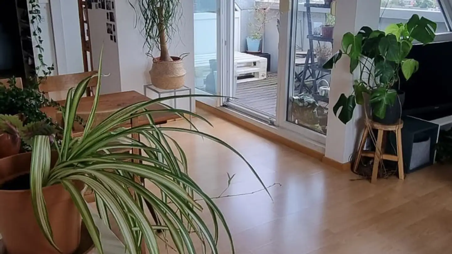 Single room for rent - Bergwiesen 35, 8055 Zürich