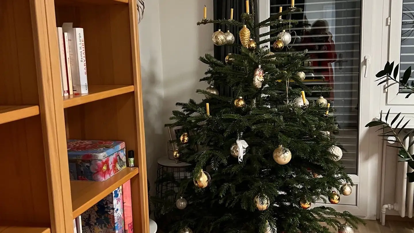 Appartement à louer - Rietstrasse 19, 9443 Widnau - Photo 4