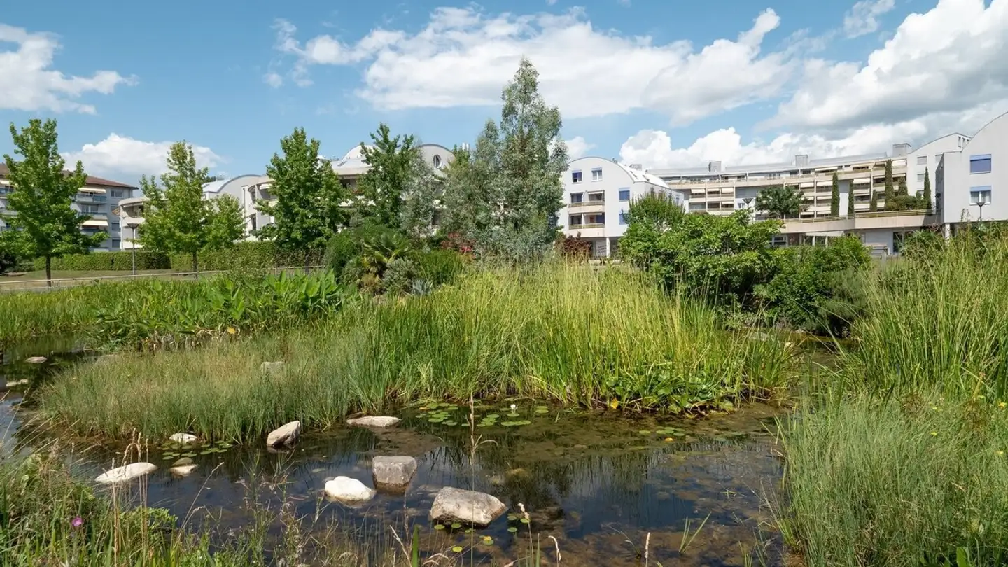 Appartamento in affitto - Chemin De Bourg-Dessus 18, 1020 Renens VD - Photo 4