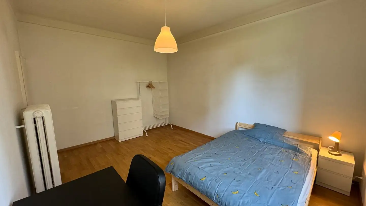 Single room for rent - Fellenbergstrasse 227, 8047 Zürich