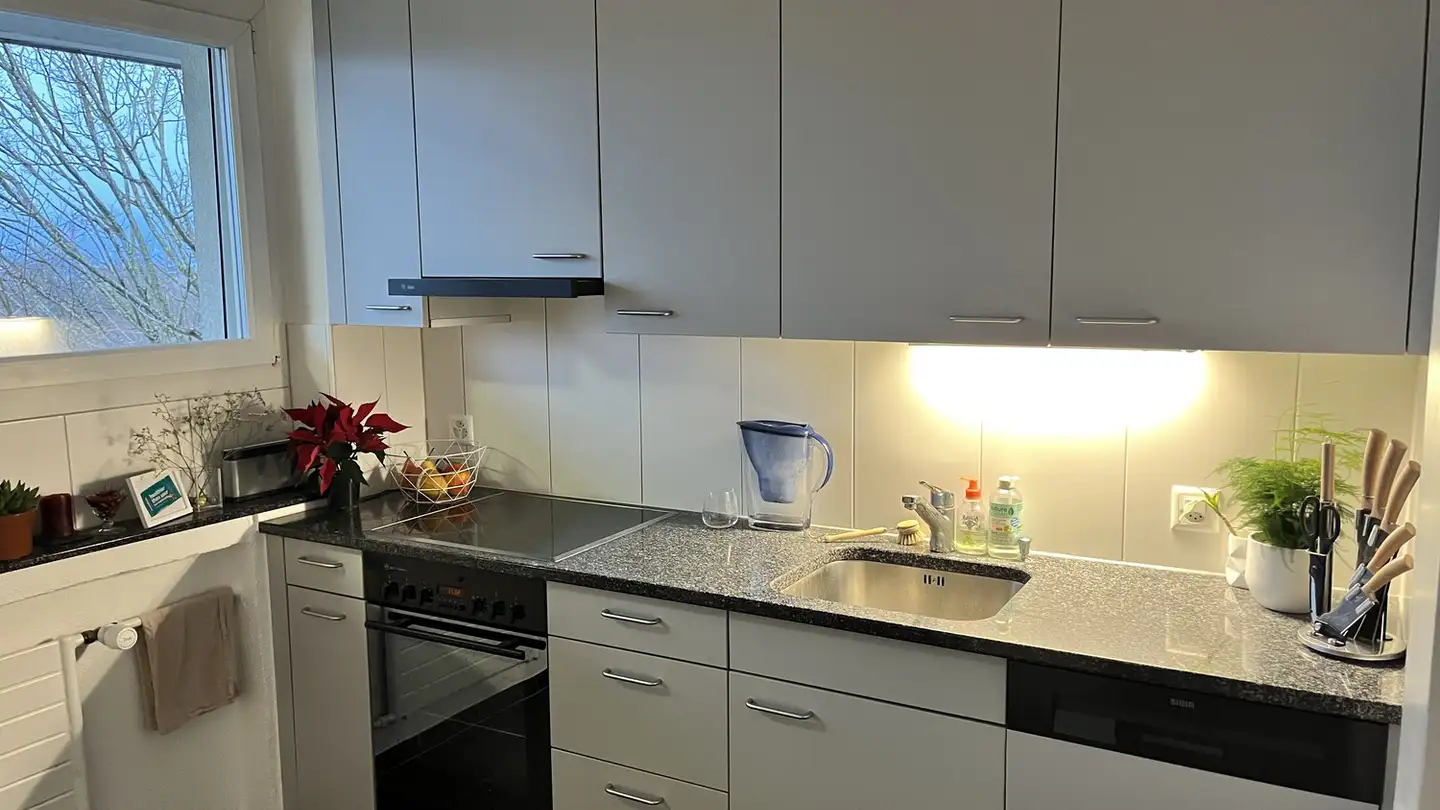 Zimmer mieten - Wydäckerring 50, 8047 Zürich - Foto 4