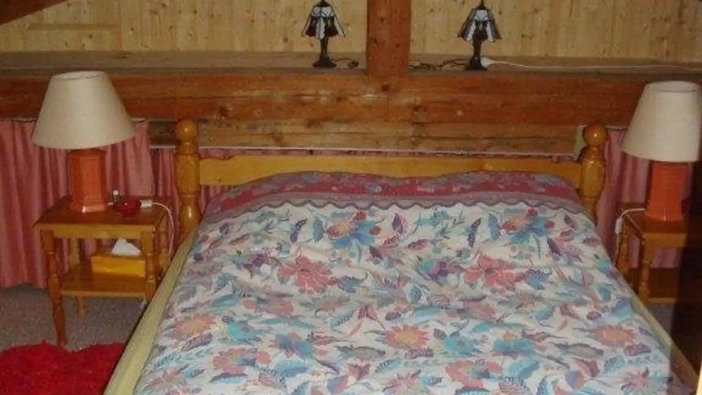 Appartamento in affitto - Chemin Du Plan Fromentin, 1865 Les Diablerets - Foto 4