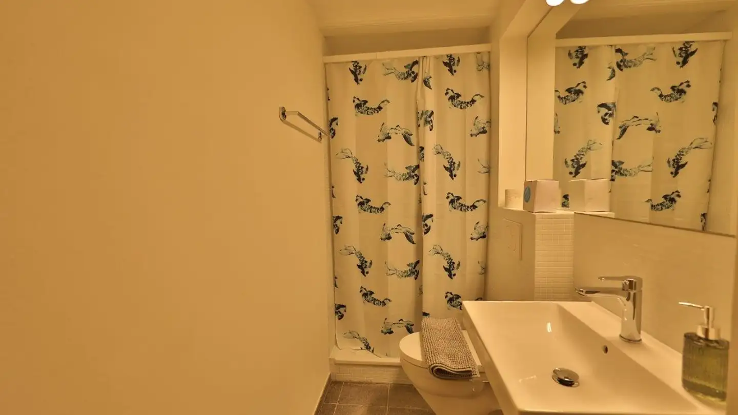 Appartamento ammobiliato in affitto - Käsereistrasse 10, 3123 Belp - Photo 2