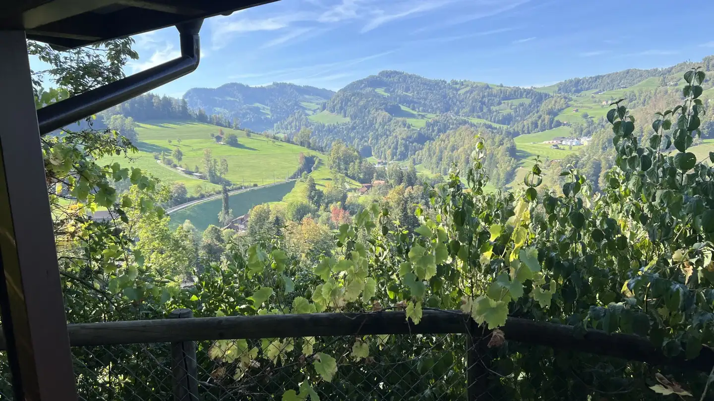 Chalet kaufen - Sonnmattstrasse 57, 9122 Mogelsberg - Foto 4