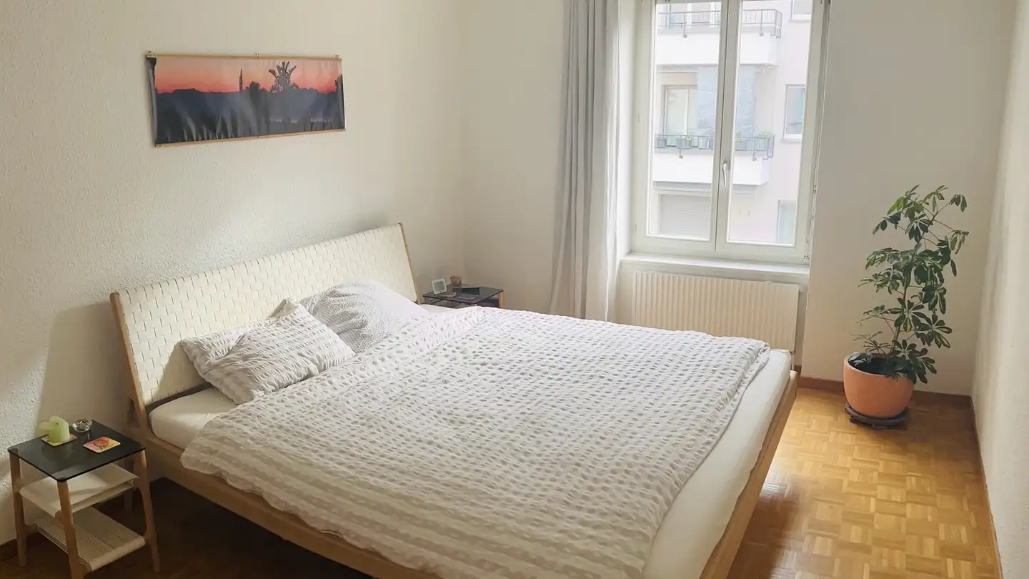 Appartamento in affitto - Erlachstrasse 22, 8003 Zürich - Foto 3