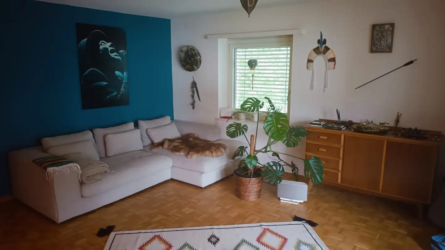 Stanza singola in affitto - 8102 Oberengstringen