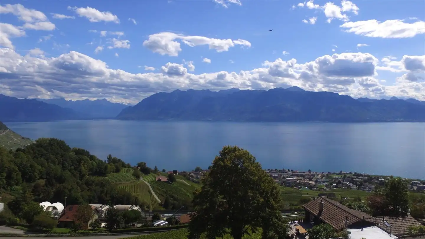 Appartamento in vendita - Chemin du Grabe 29, 1091 Grandvaux - Photo 2