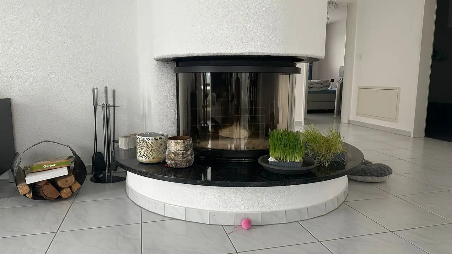 Appartement à louer - Unterfeldhof 2, 8854 Galgenen - Photo 4