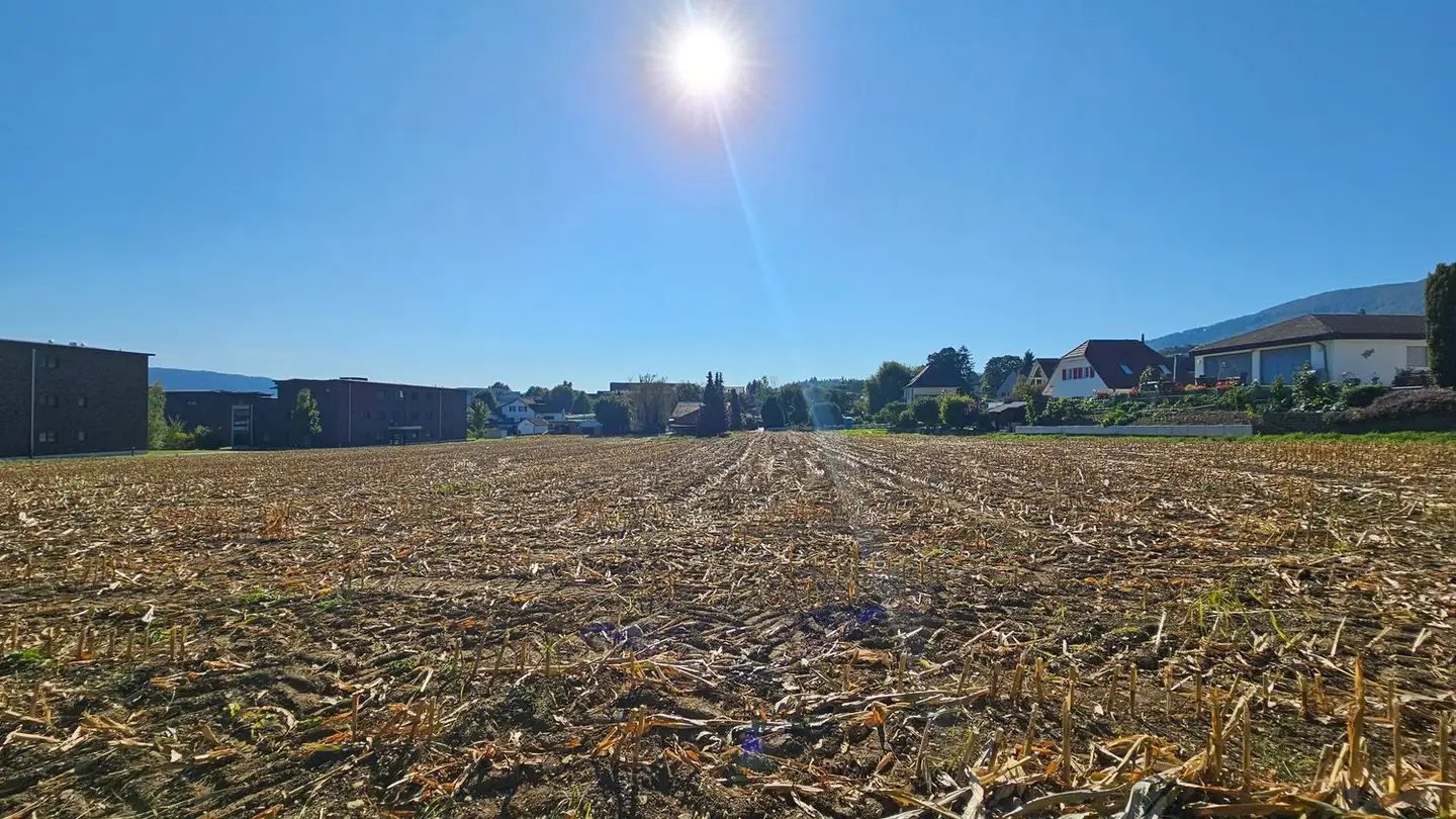 Terreno edificabile in vendita - Rechtenmattstrasse, 4654 Lostorf - Photo 3