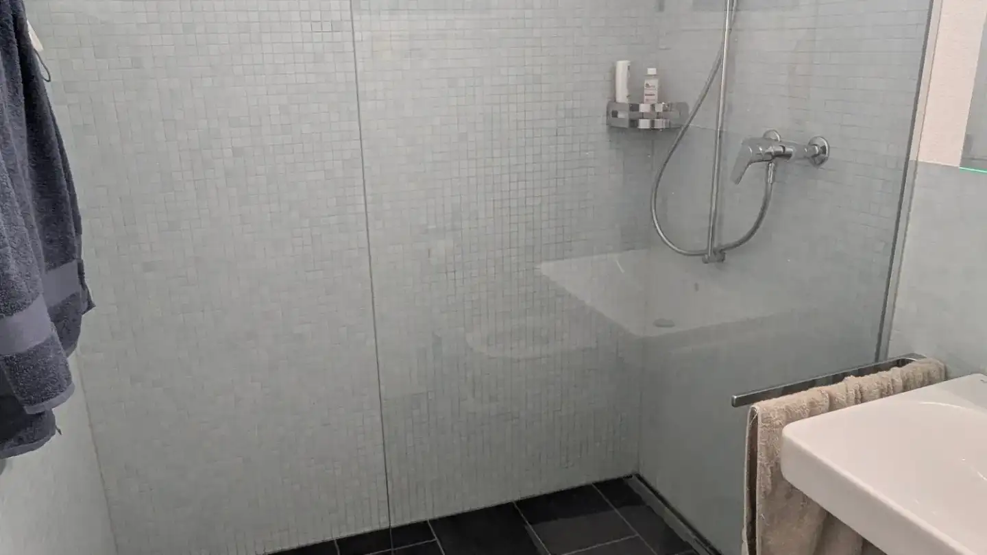 Wohnung mieten - Staatsstrasse 121, 9445 Rebstein - Foto 3