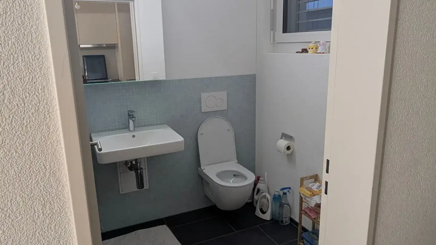 Wohnung mieten - Staatsstrasse 121, 9445 Rebstein - Foto 4