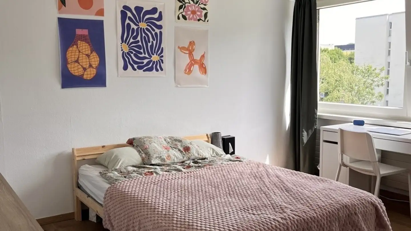 Chambre à louer - Rohrstrasse 21, 8952 Schlieren