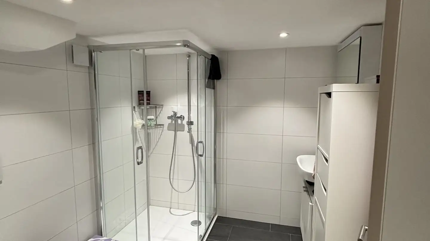 Appartamento in affitto - Mezikonerstrasse 18, 9542 Münchwilen TG - Foto 2