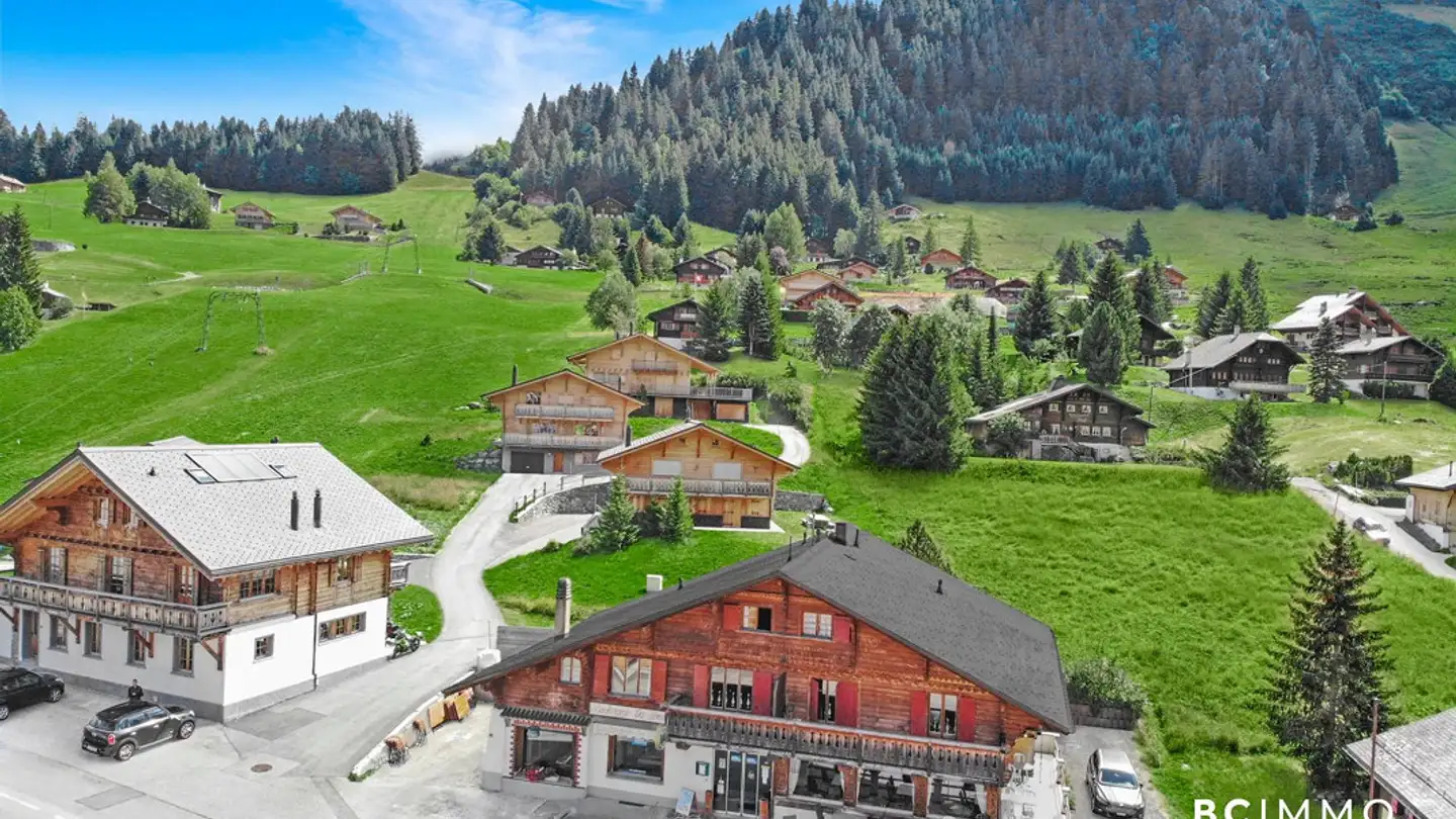 Chalet for sale - Route Du Col Des Mosses 94, 1862 Les Mosses - Photo 2