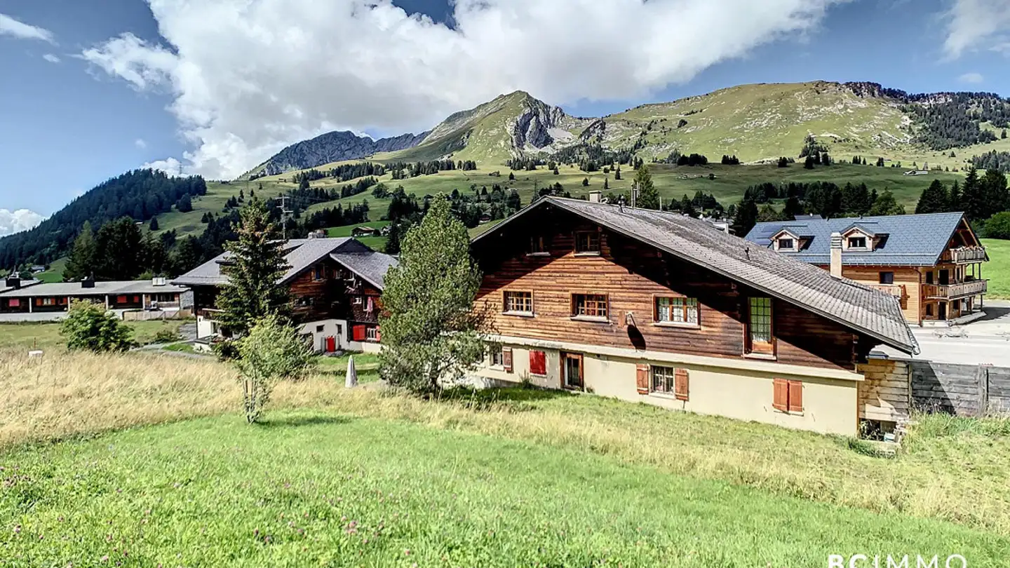 Chalet for sale - Route Du Col Des Mosses 94, 1862 Les Mosses - Photo 3