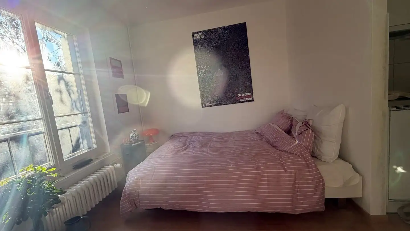 Studio mieten - 1227 Carouge GE - Foto 2