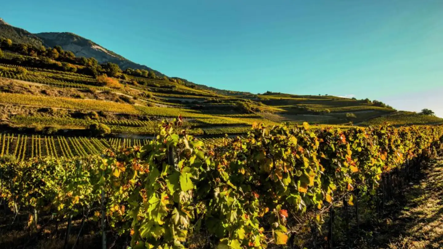 Casa singola in vendita - Varenstrasse, 3970 Salgesch - Photo 4