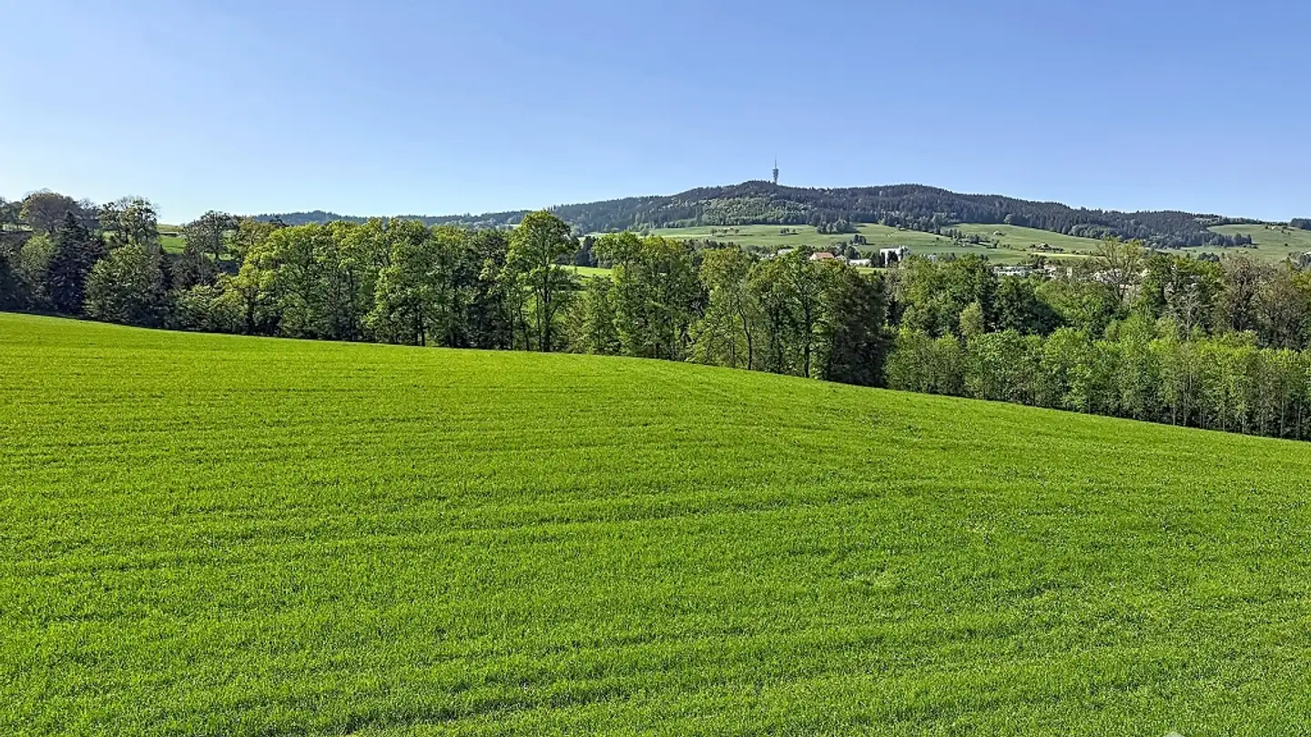 Apartment for rent - Le Châtelard 72, 1633 Marsens - Photo 3
