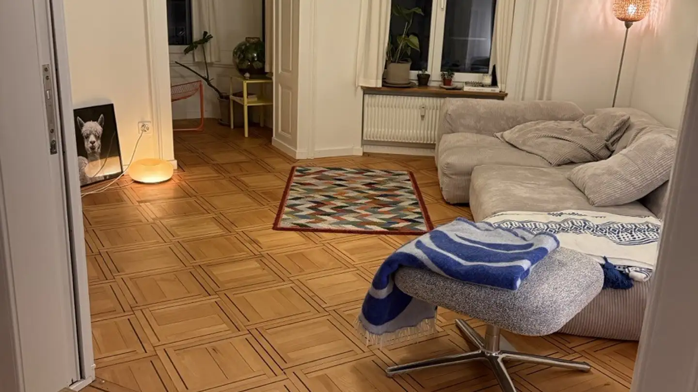 Chambre à louer - Spitalgasse 2, 8001 Zürich - Photo 2