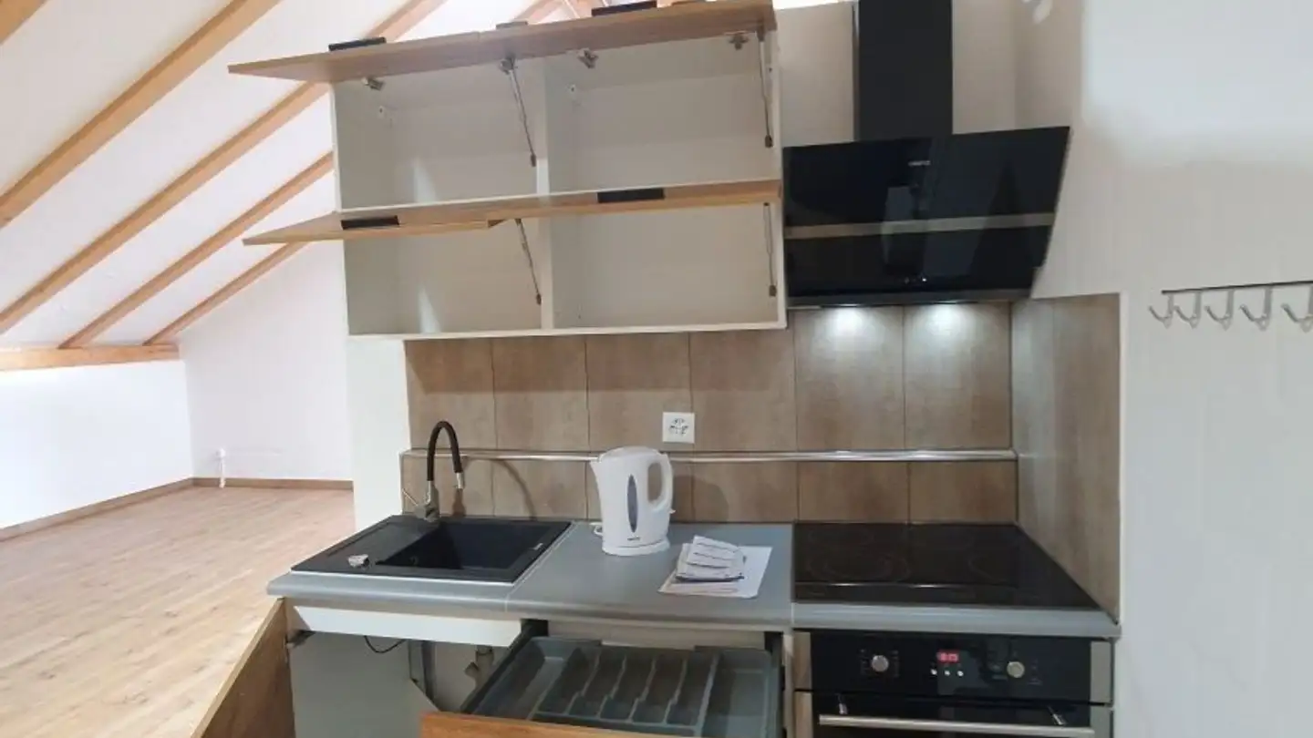 Commercial à louer - Breitistrasse 1a, 8335 Hittnau - Photo 4
