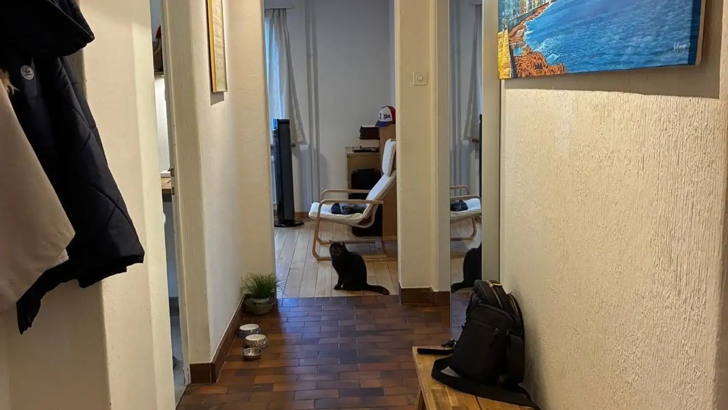 Appartamento in affitto - Wülflingerstrasse, 8408 Winterthur - Foto 3